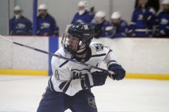 WR Hockey Pic